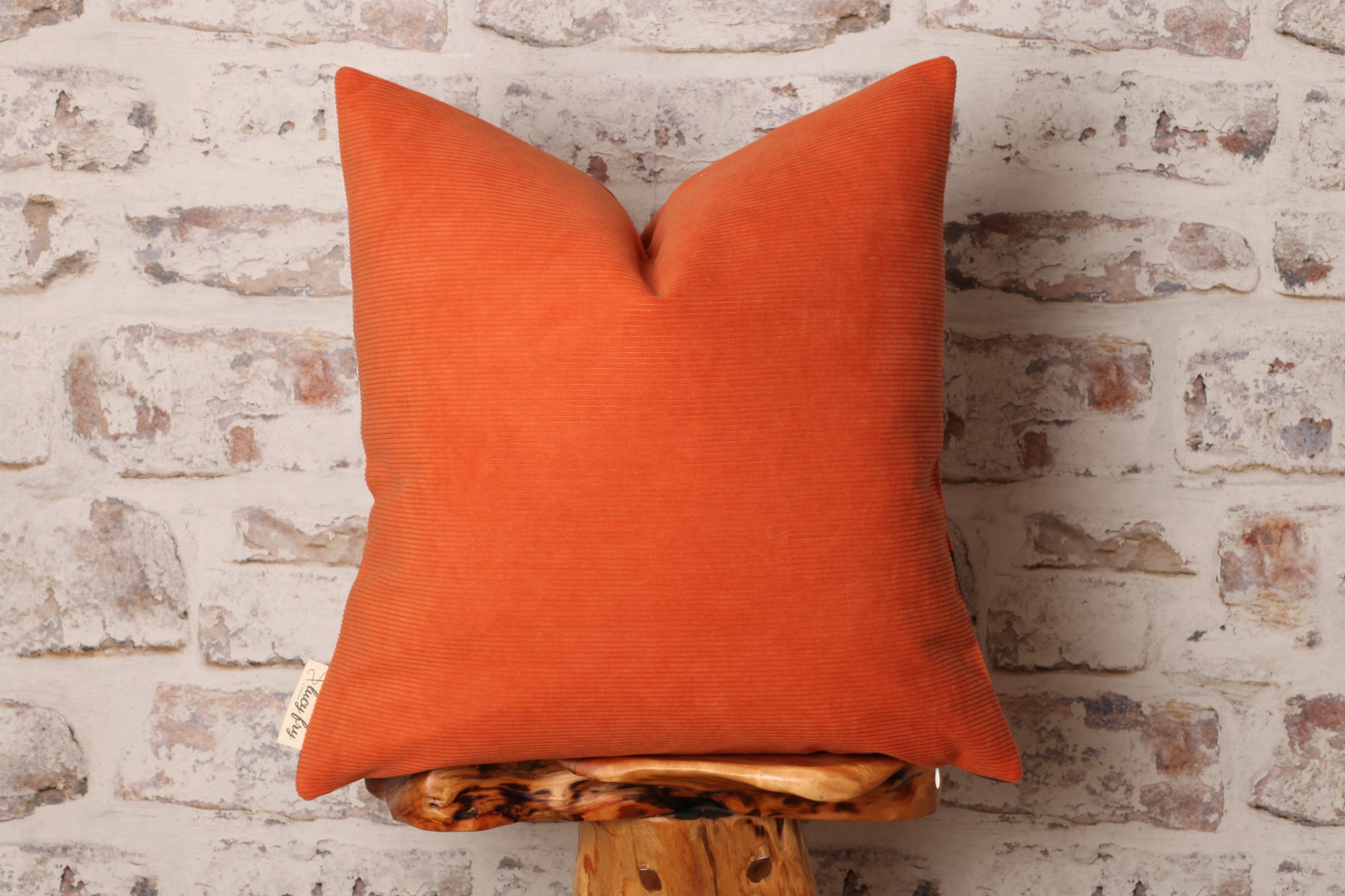 Orange you Glad 18 x 18 Pillow – AELFIE